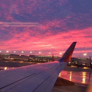 Meet your Posher, Lily